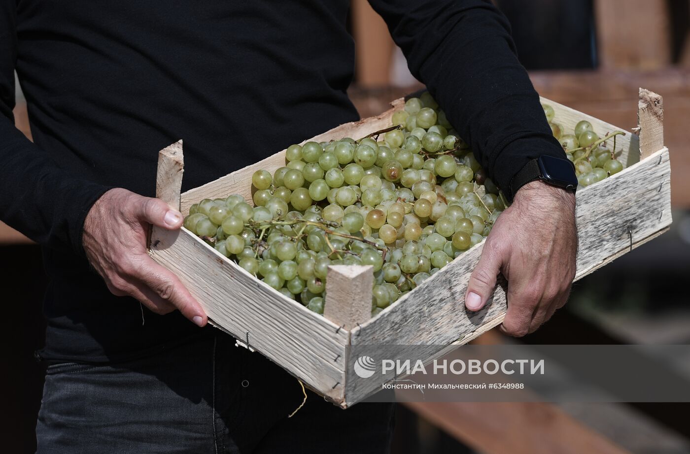 Фестиваль сбора урожая и виноделия WineFest-2020