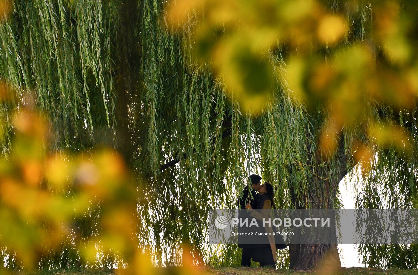 Лучшие фото недели