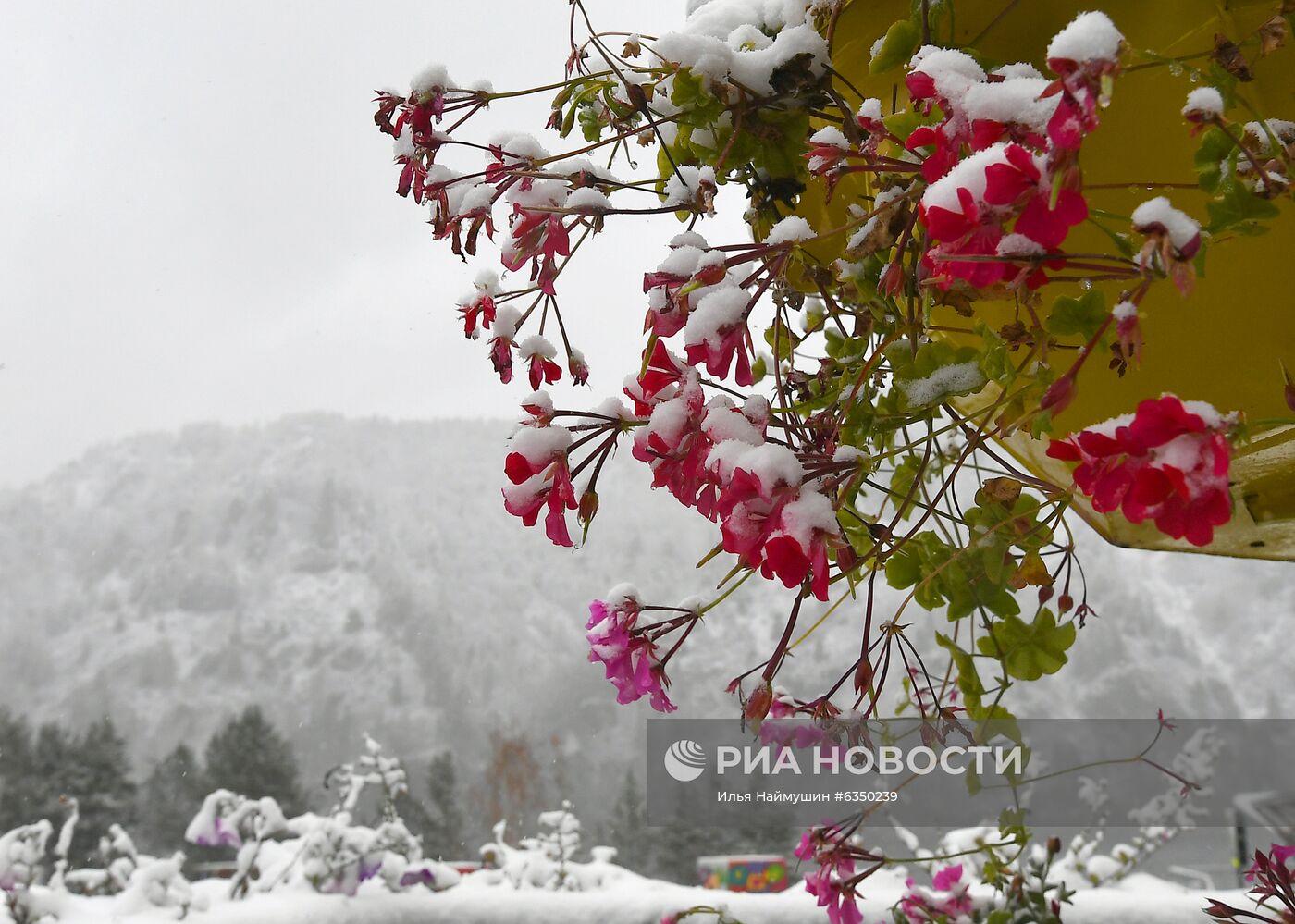 Первый снег в Красноярском крае