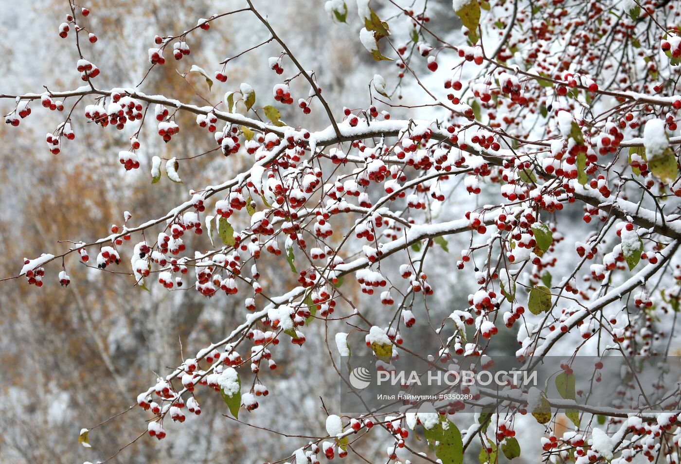 Первый снег в Красноярском крае