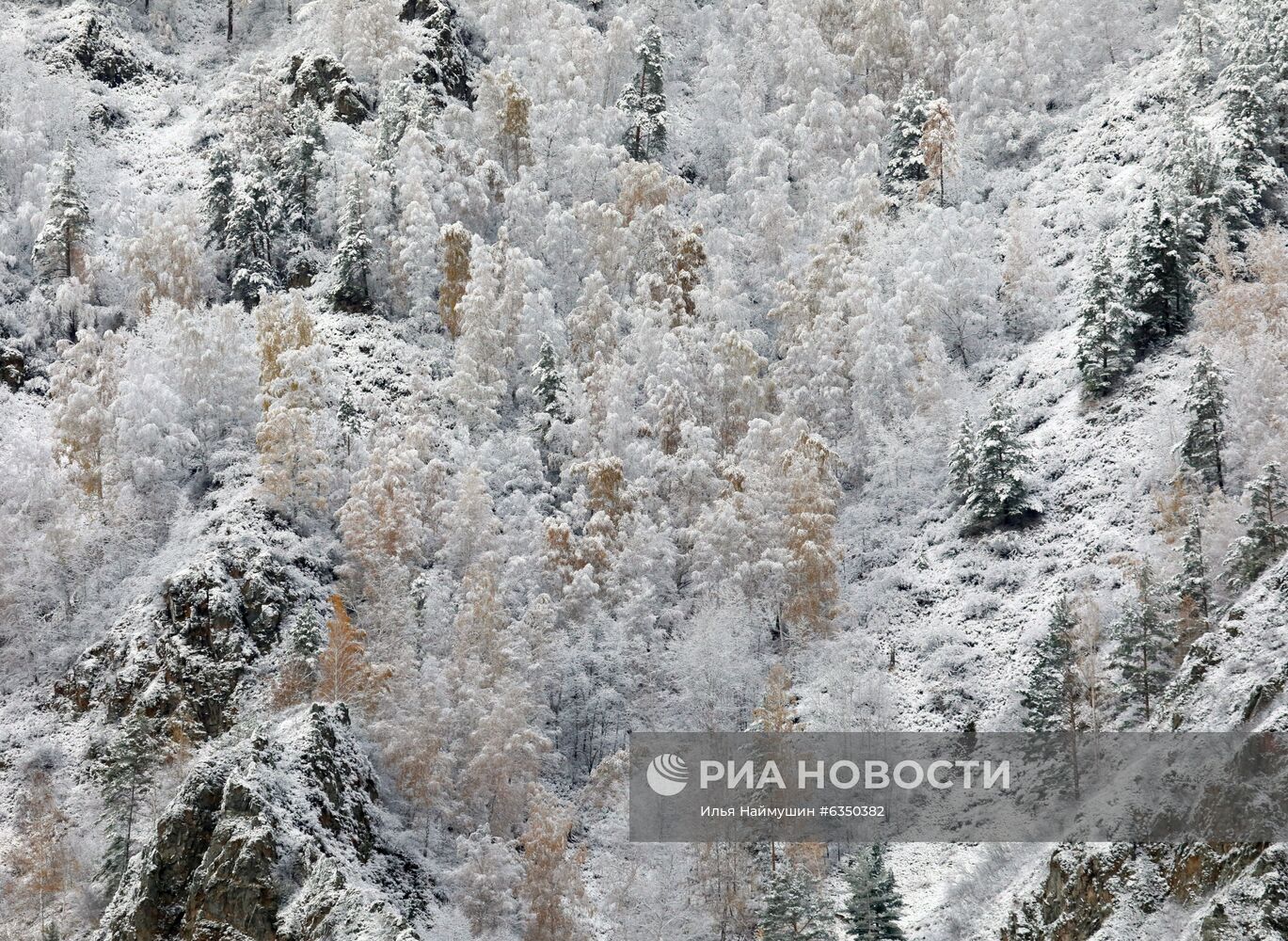 Первый снег в Красноярском крае