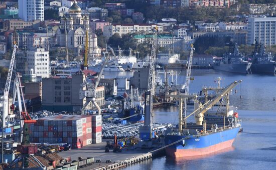 Докеры во Владивостоке протестуют против отставки гендиректора входящего в группу FESCO порта З. Юсупова