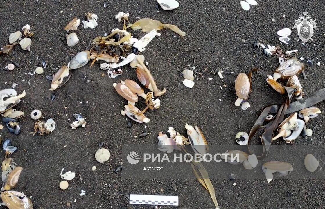 СК России устанавливает обстоятельства загрязнения акватории Авачинского залива