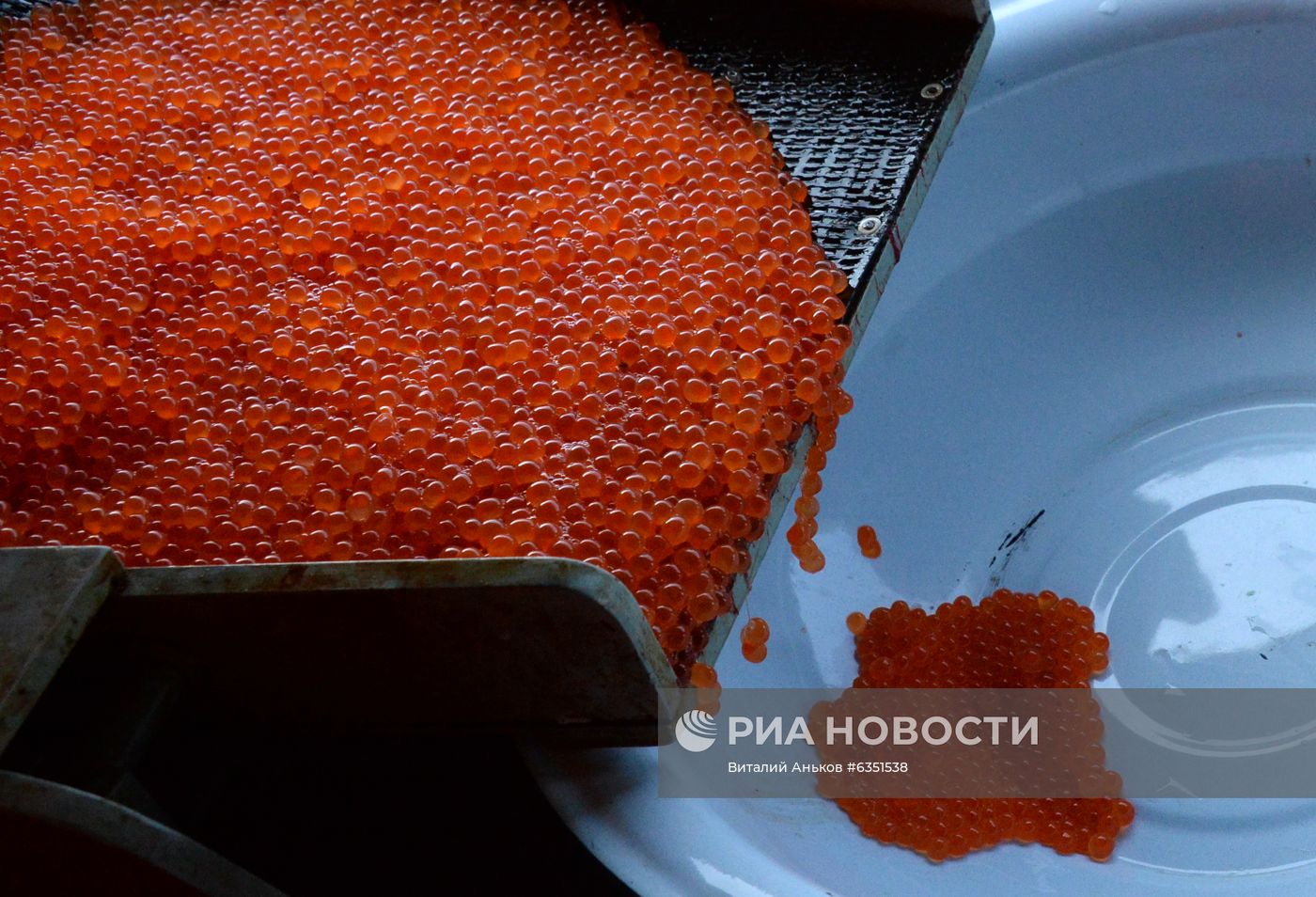 Барабашевский лососевый рыбоводный завод