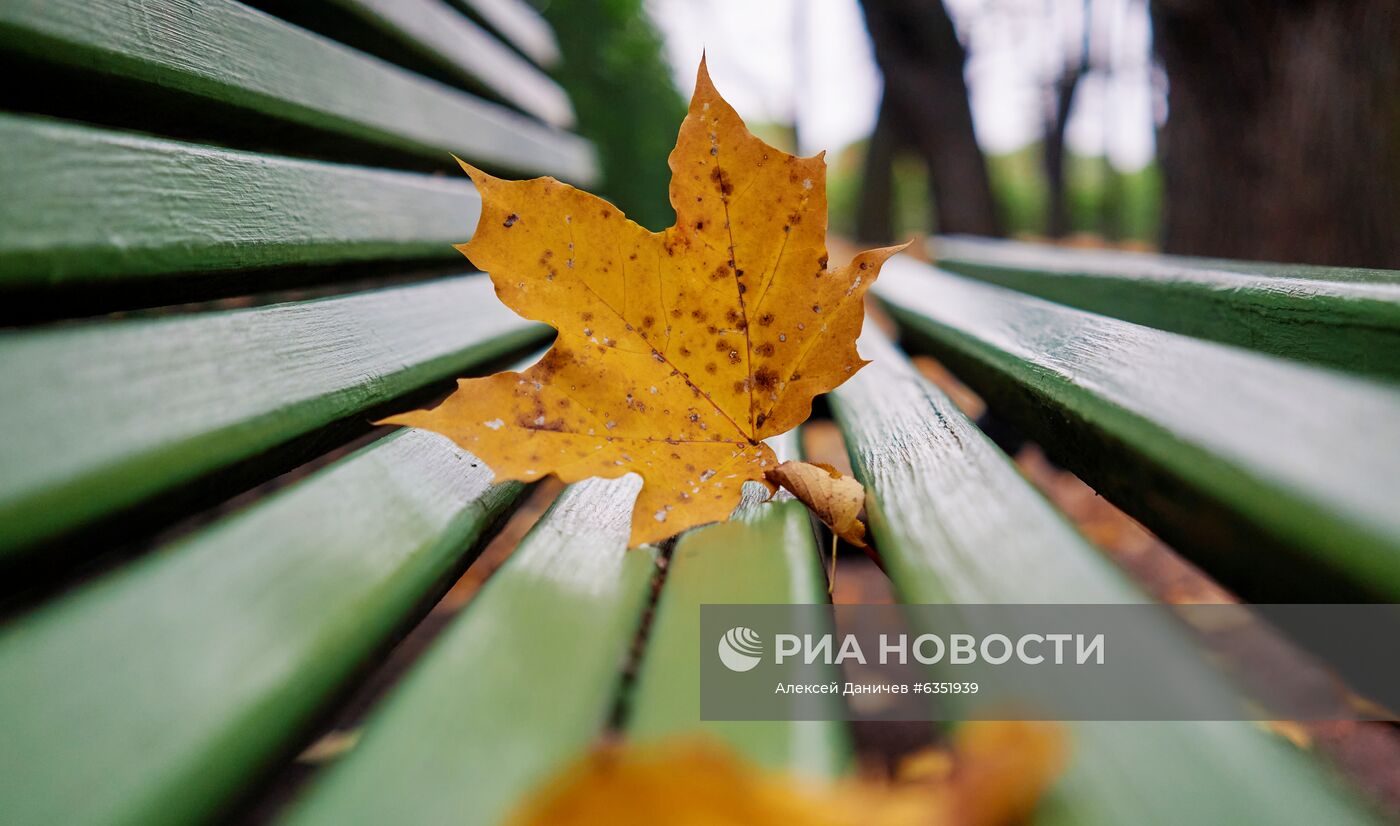 Осень в Санкт-Петербурге