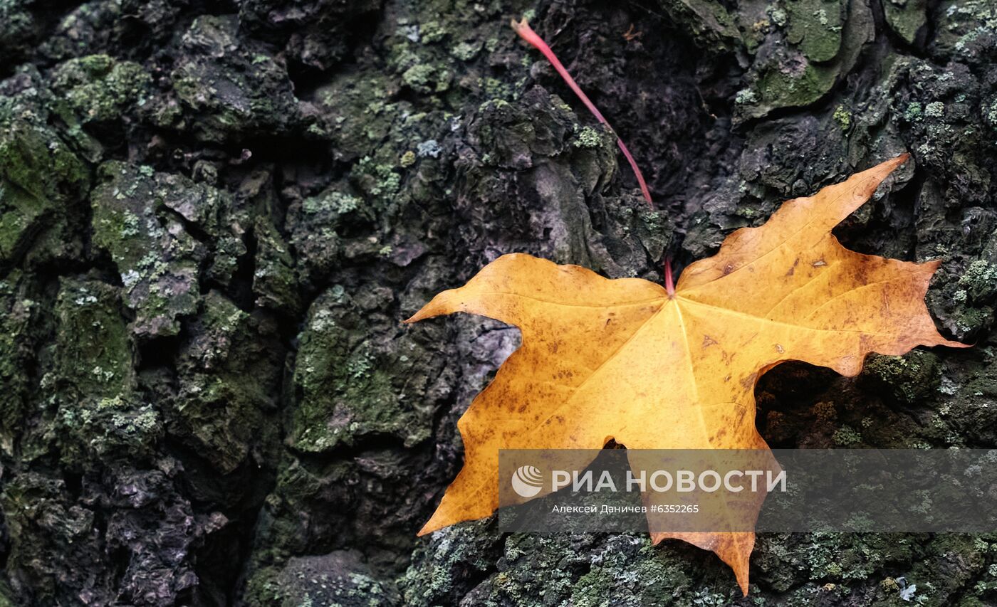 Осень в Санкт-Петербурге