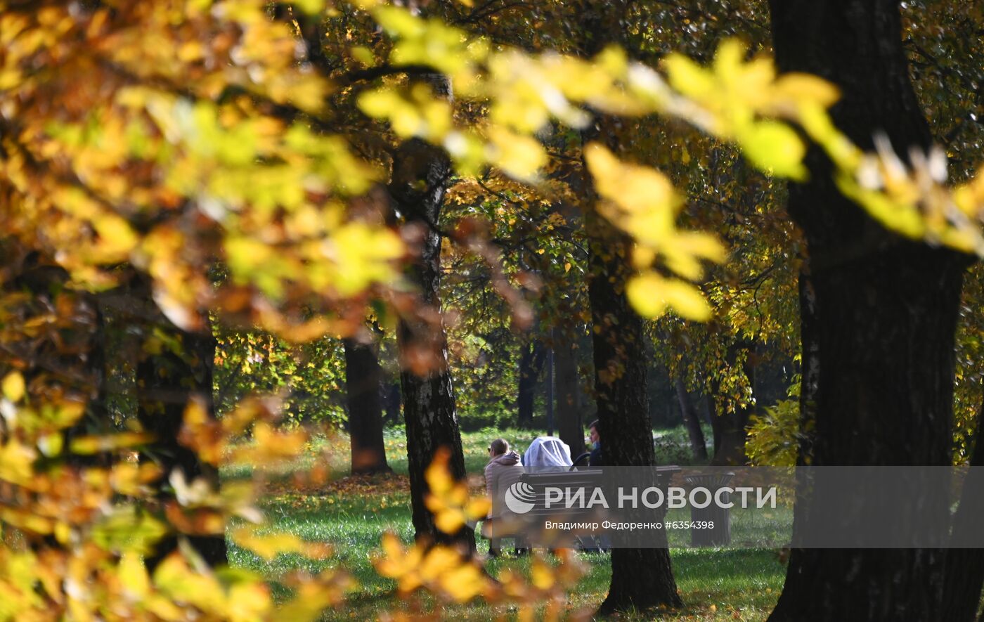 Теплая погода в Москве