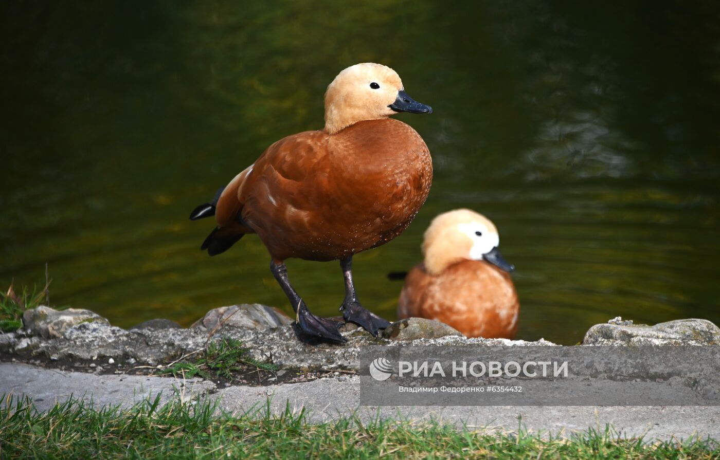 Теплая погода в Москве