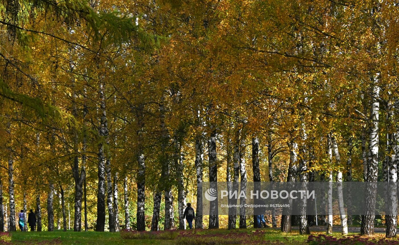 Теплая погода в Москве