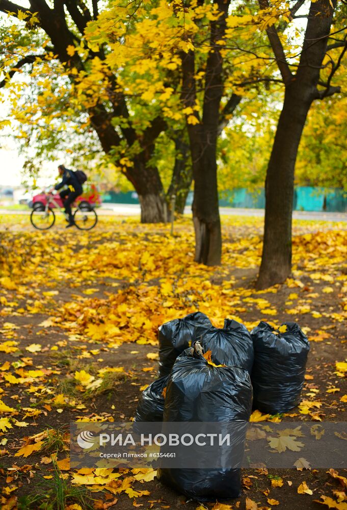 Уборка осенней листвы в Москве