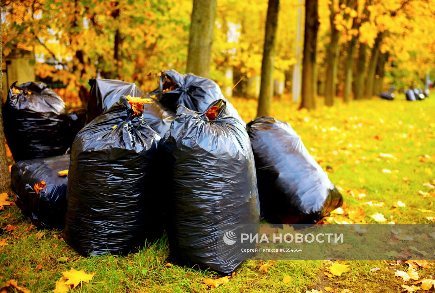 Уборка осенней листвы в Москве