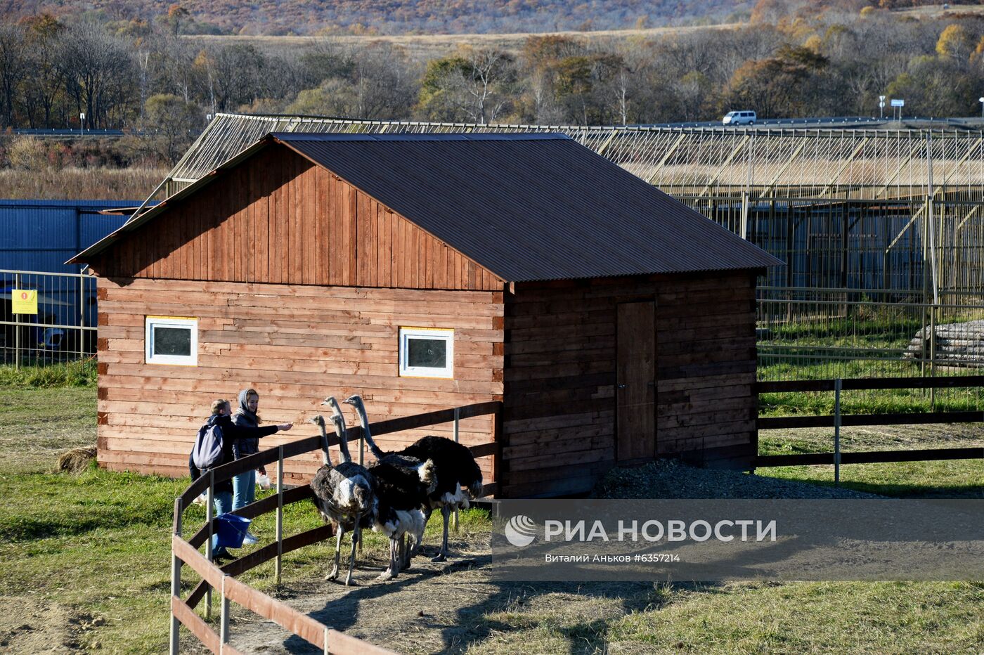 Парк "Белый лев" в Приморском крае