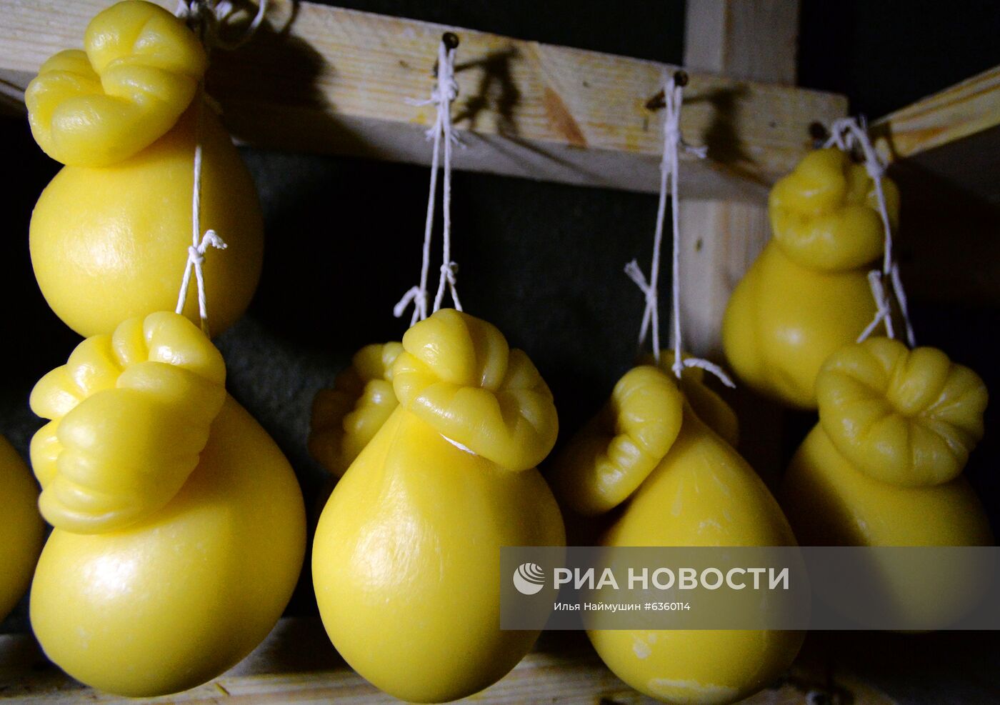Сыроварня "Поместье Предгорное " в Красноярском крае