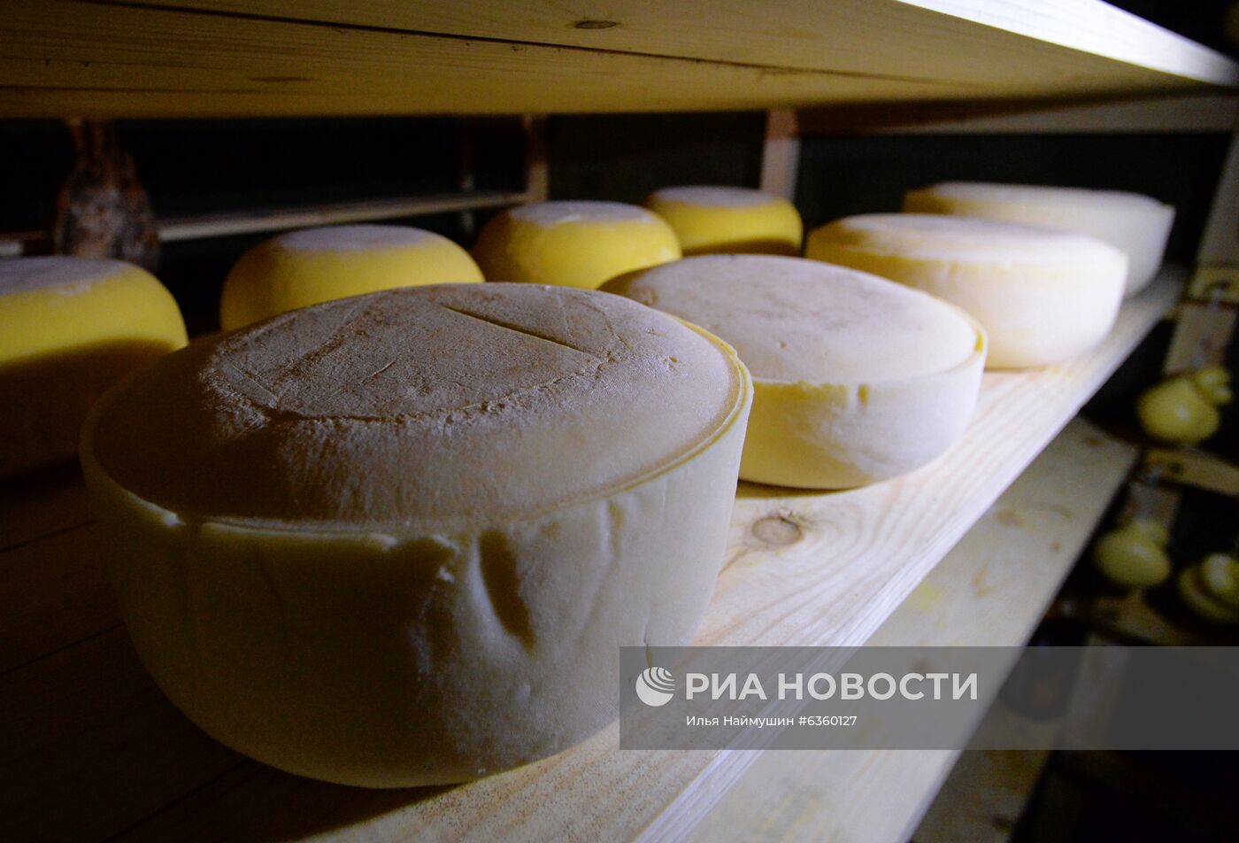 Сыроварня "Поместье Предгорное " в Красноярском крае