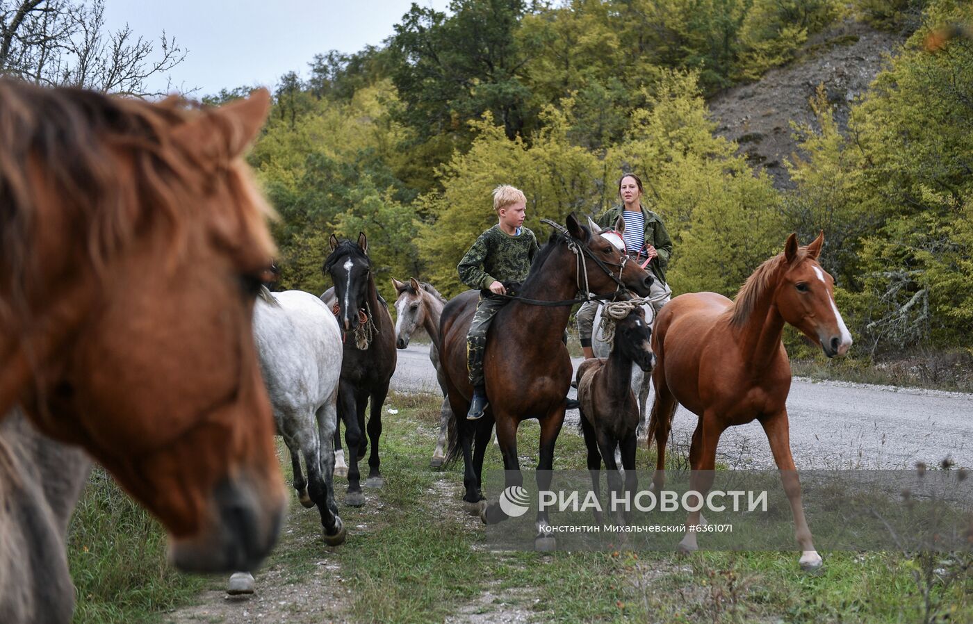 Виды Крыма