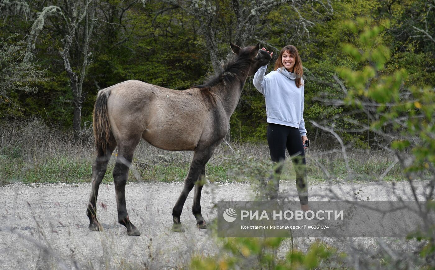 Виды Крыма