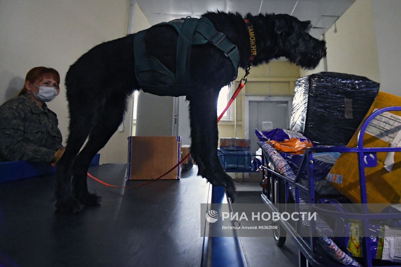 Работа почтового таможенного поста во Владивостоке