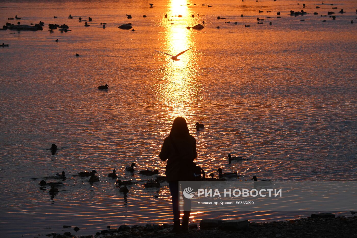 Повседневная жизнь в Новосибирске