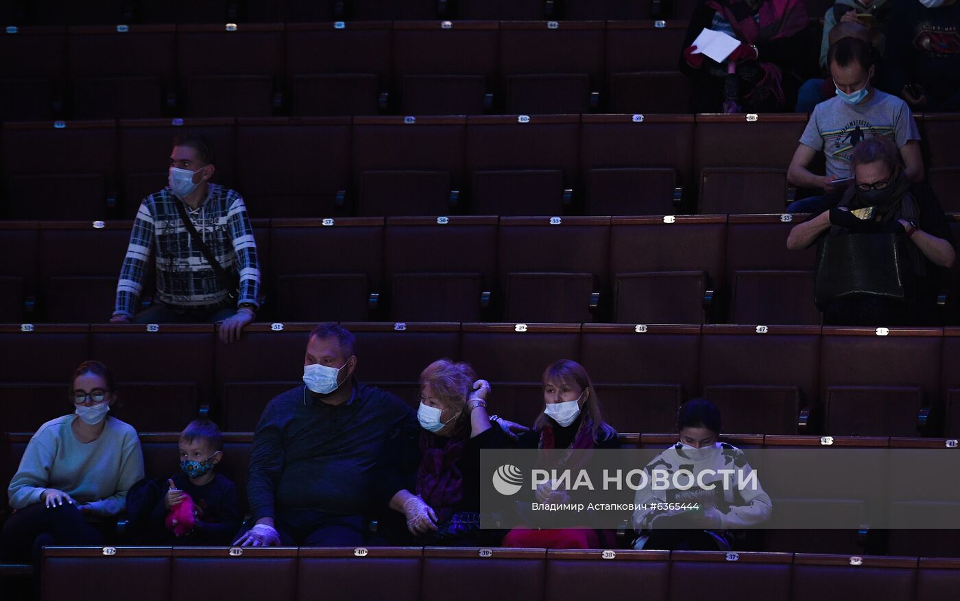 Репетиция в Большом Московском цирке