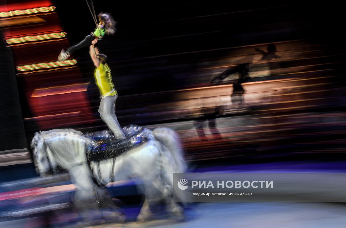 Репетиция в Большом Московском цирке