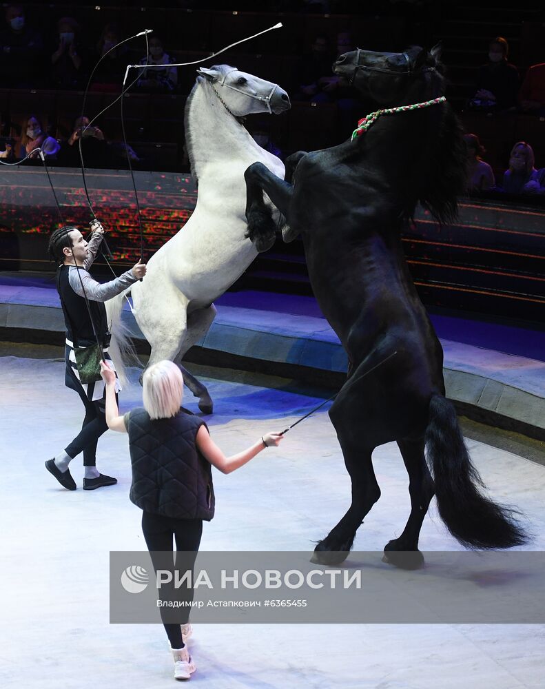 Репетиция в Большом Московском цирке