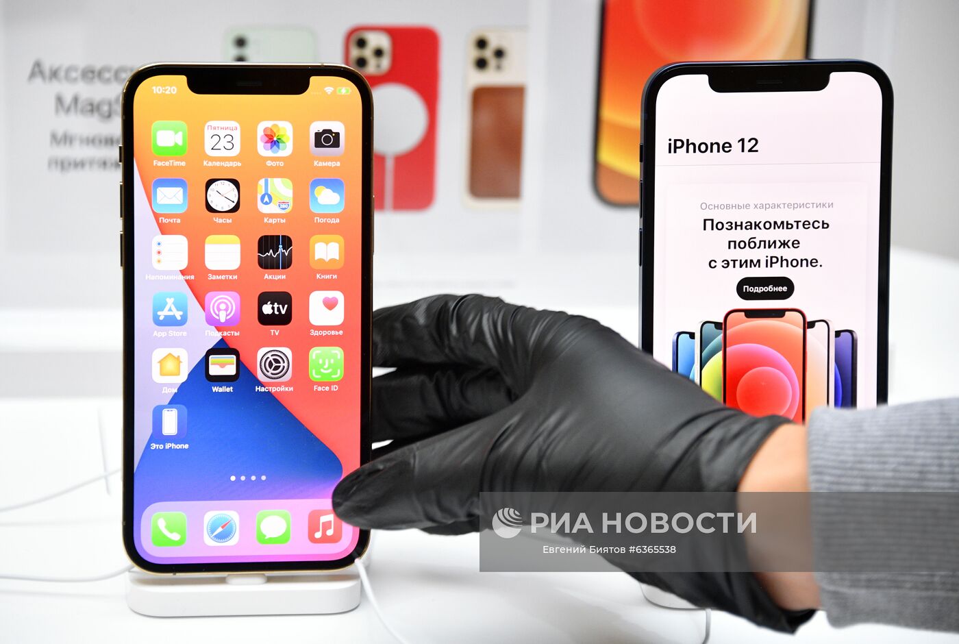 В России поступили в продажу новые Iphone