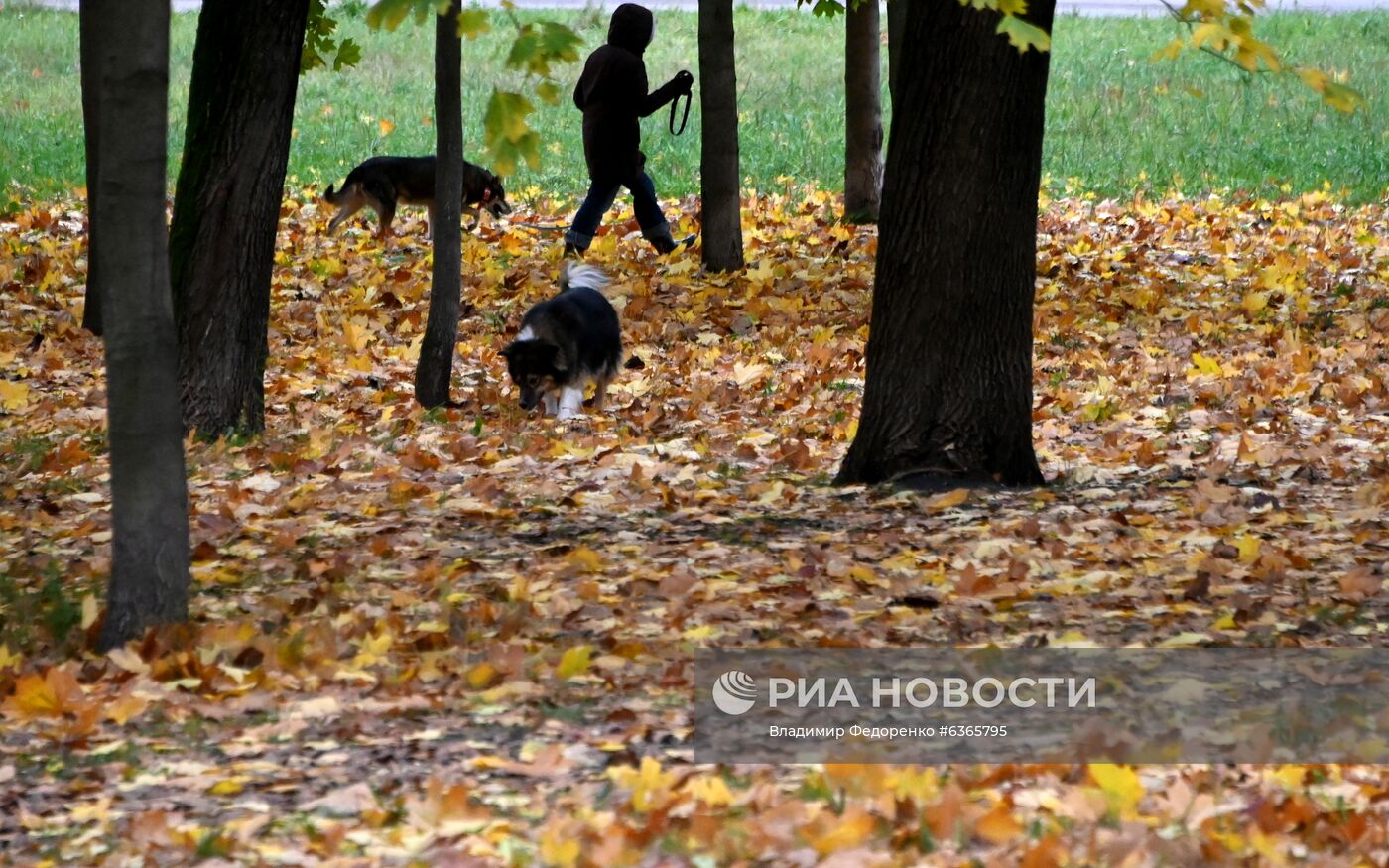 Осень в Москве Масочный режим в Москве
