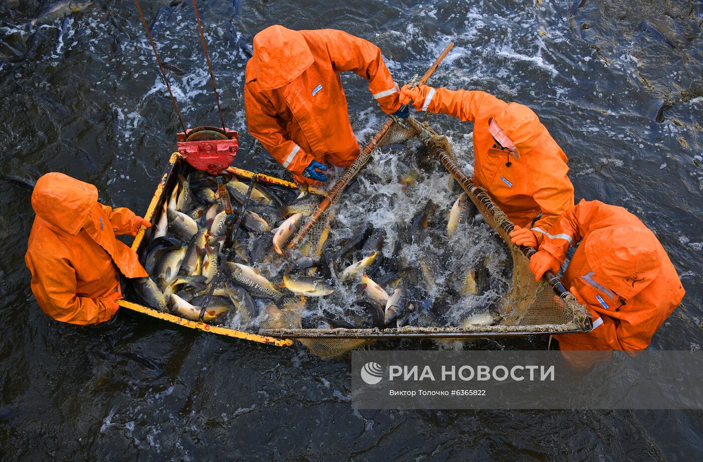 Опытный рыбхоз "Селец" в Белоруссии