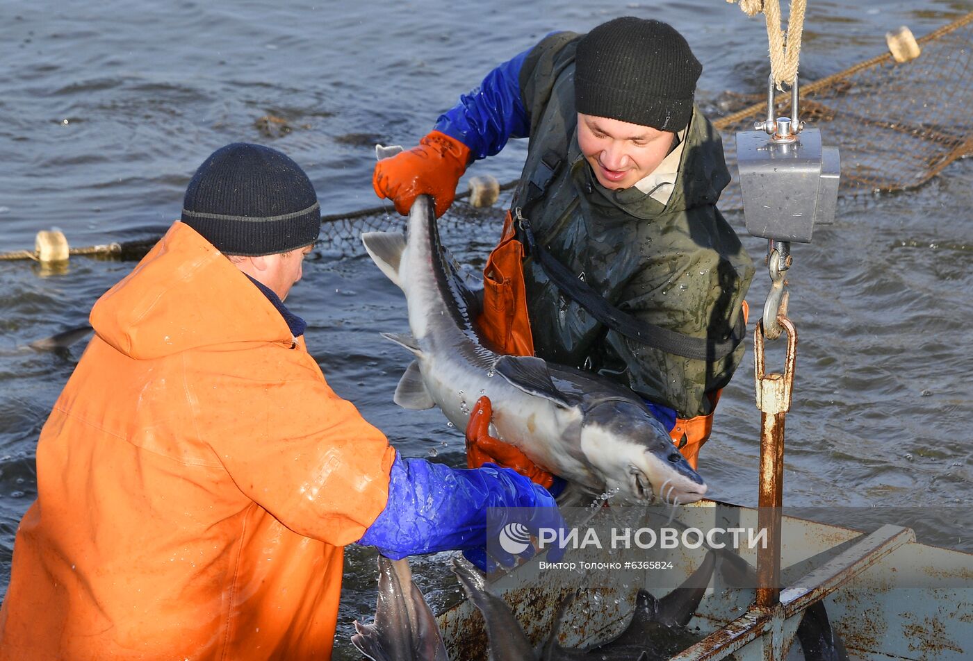 Опытный рыбхоз "Селец" в Белоруссии