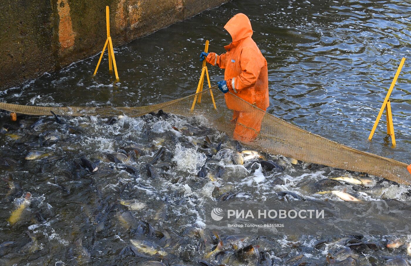 Опытный рыбхоз "Селец" в Белоруссии