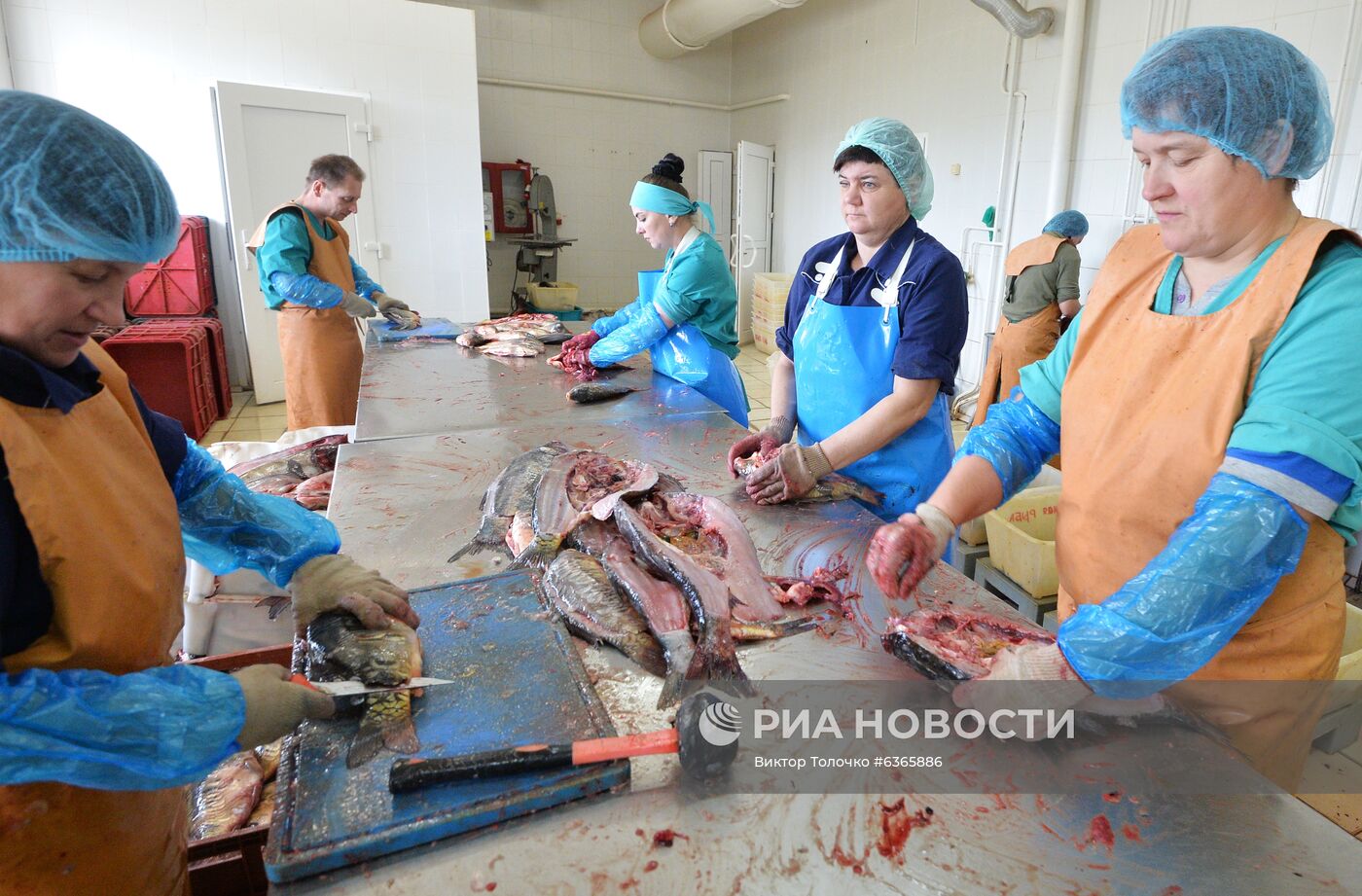 Опытный рыбхоз "Селец" в Белоруссии