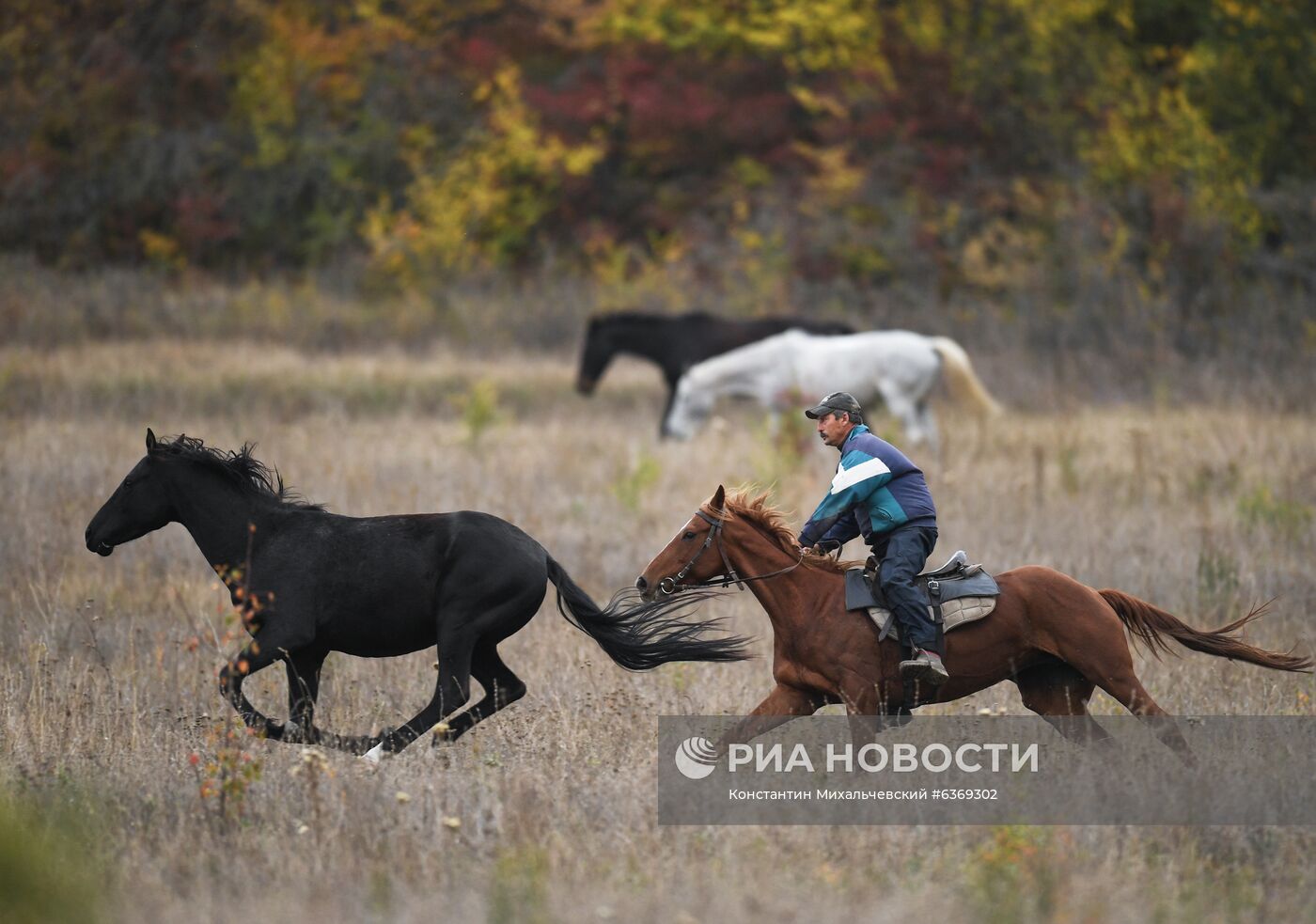 Осень в Крыму