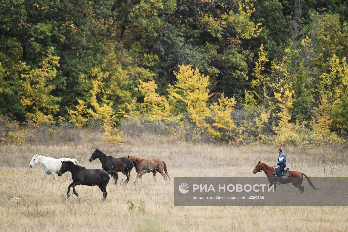 Осень в Крыму