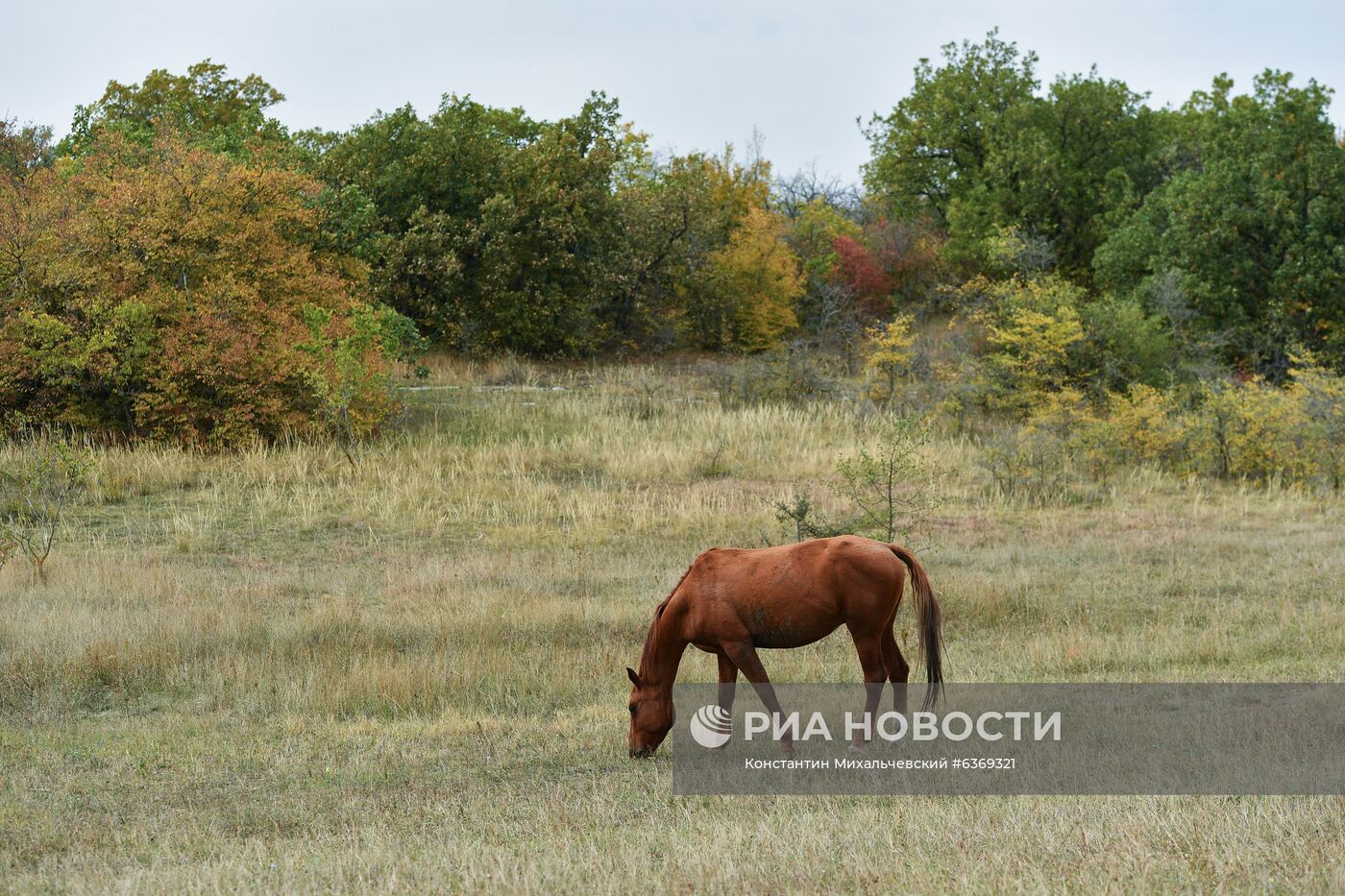 Осень в Крыму