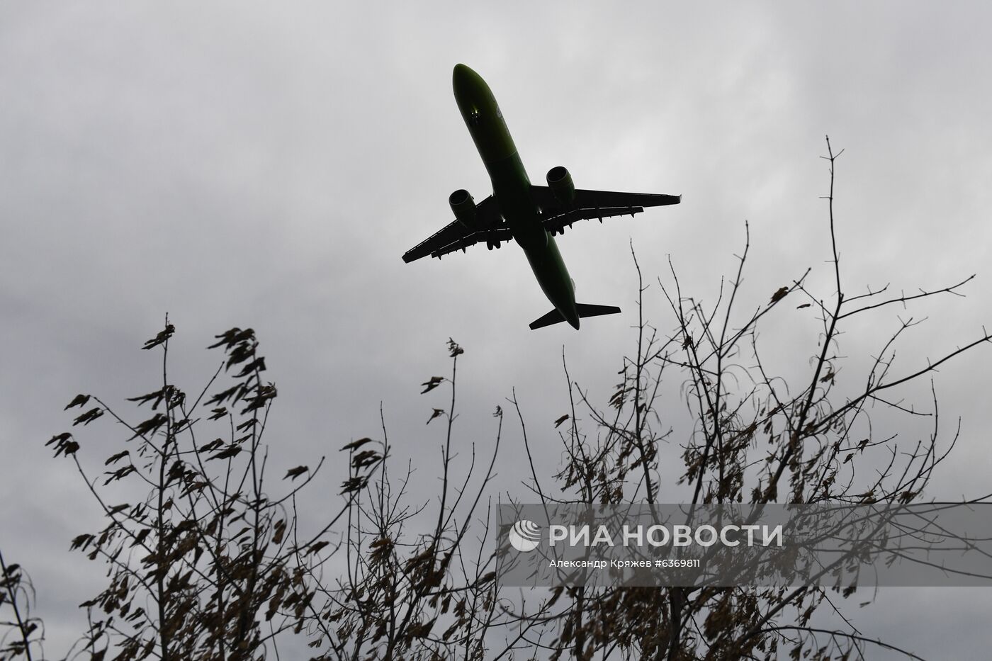 В международном аэропорту Толмачево в Новосибирске.