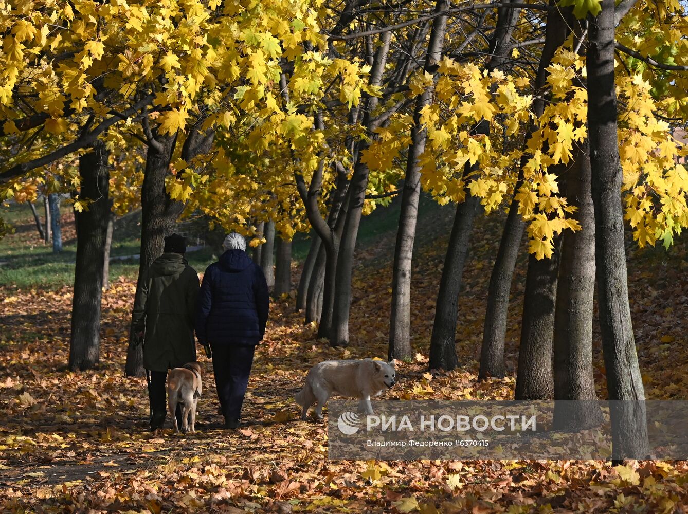 Осень в Москве 