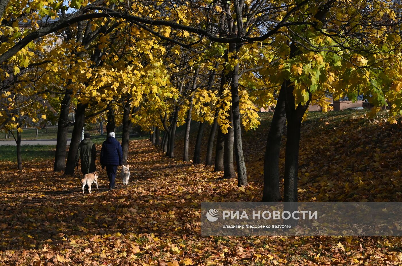 Осень в Москве 