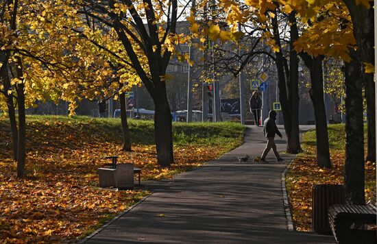Осень в Москве 