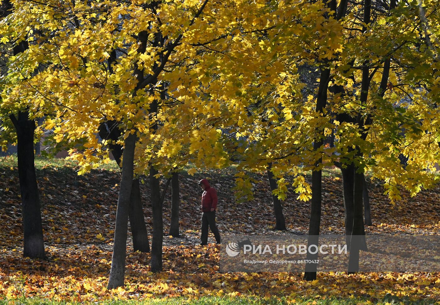 Осень в Москве 