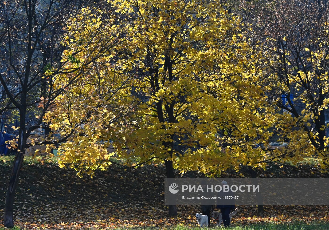 Осень в Москве 