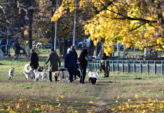 Осень в Москве 