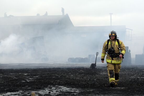 Пожар в Волосовском районе Ленинградской области