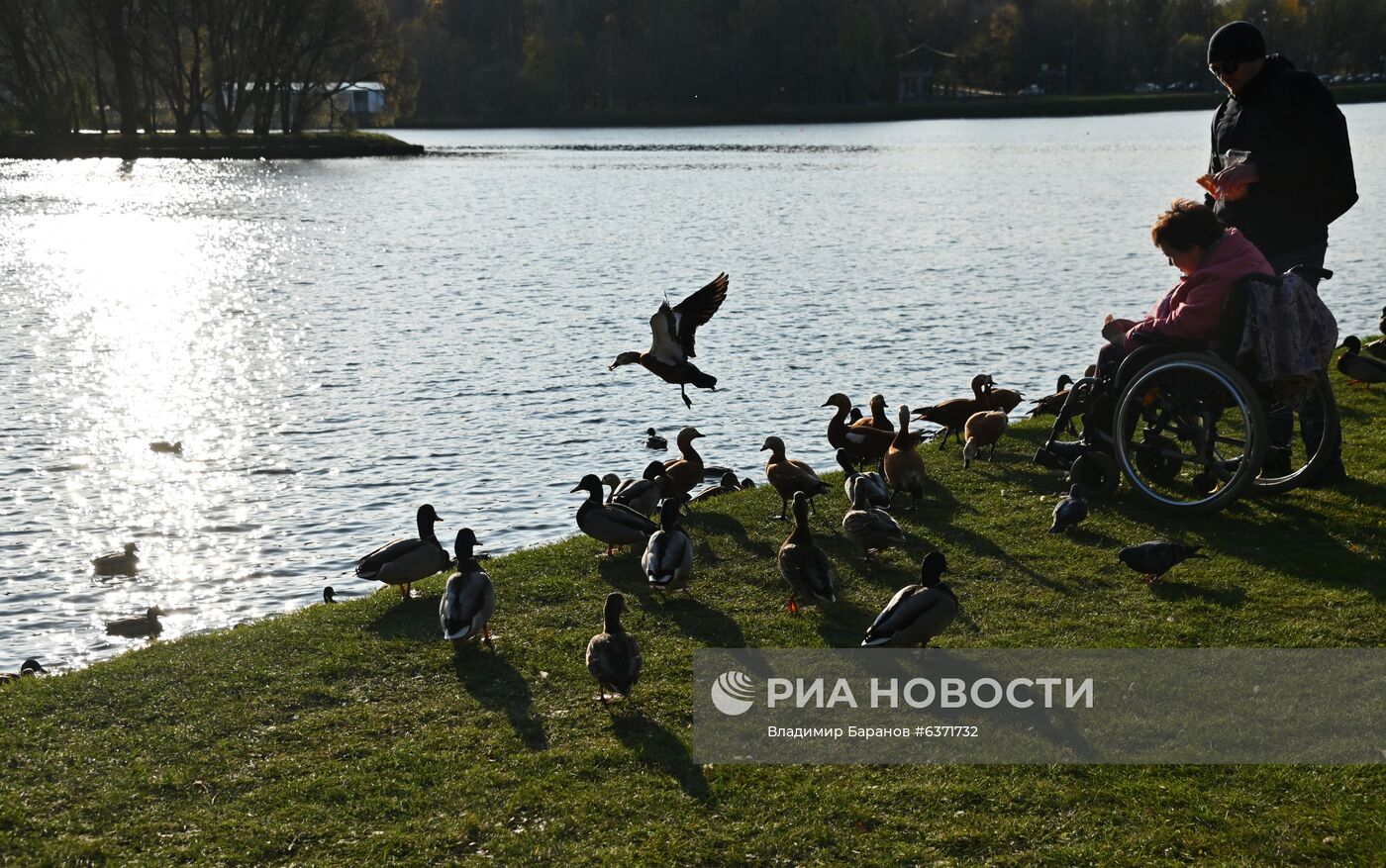 Осень в Царицыно