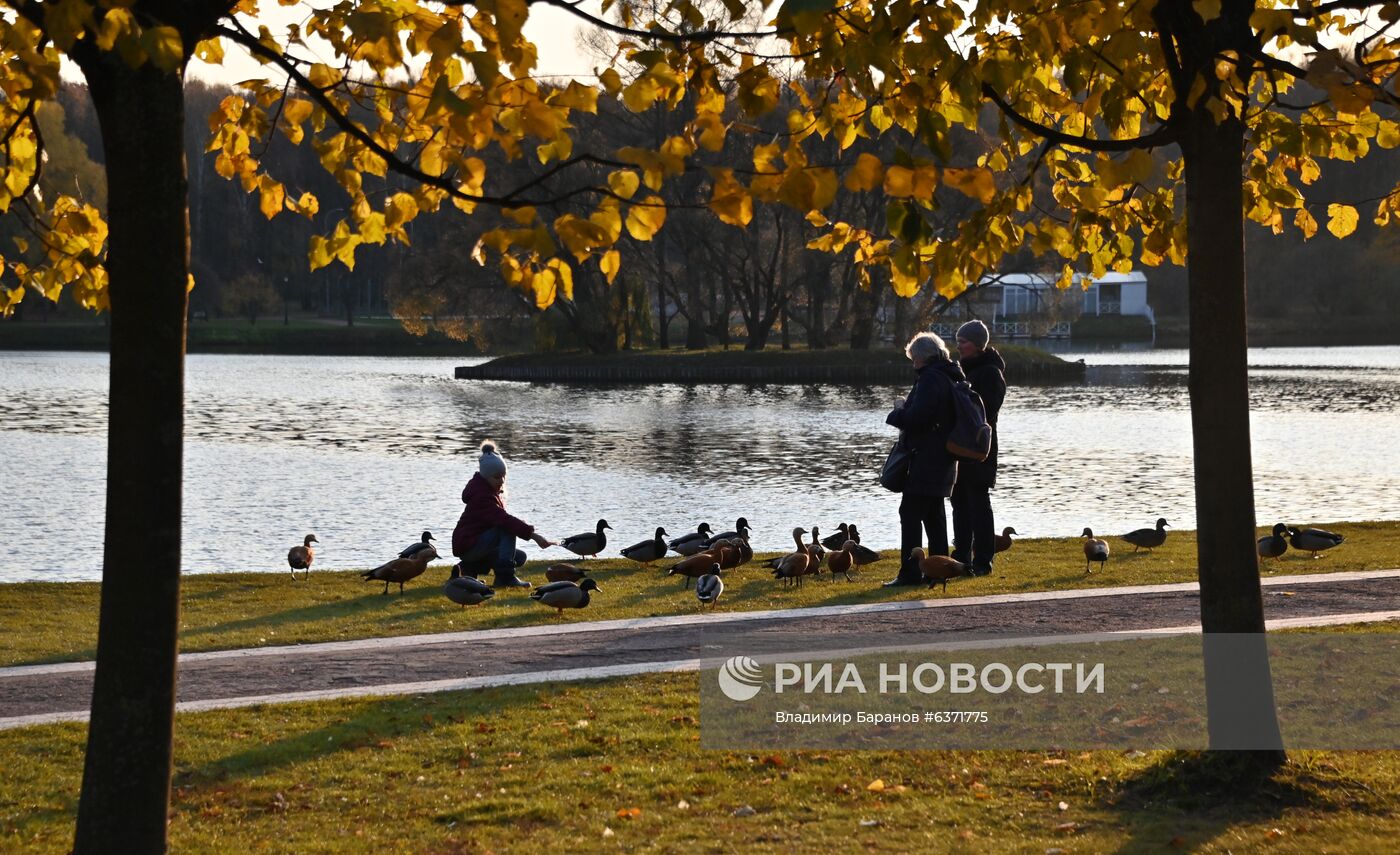 Осень в Царицыно