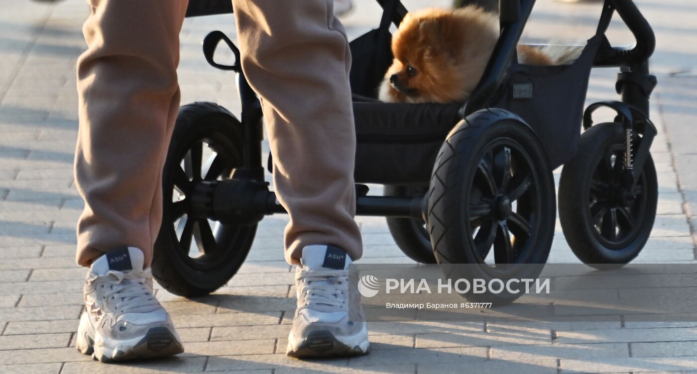 Осень в Царицыно