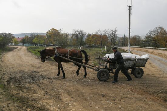Повседневная жизнь в Молдавии