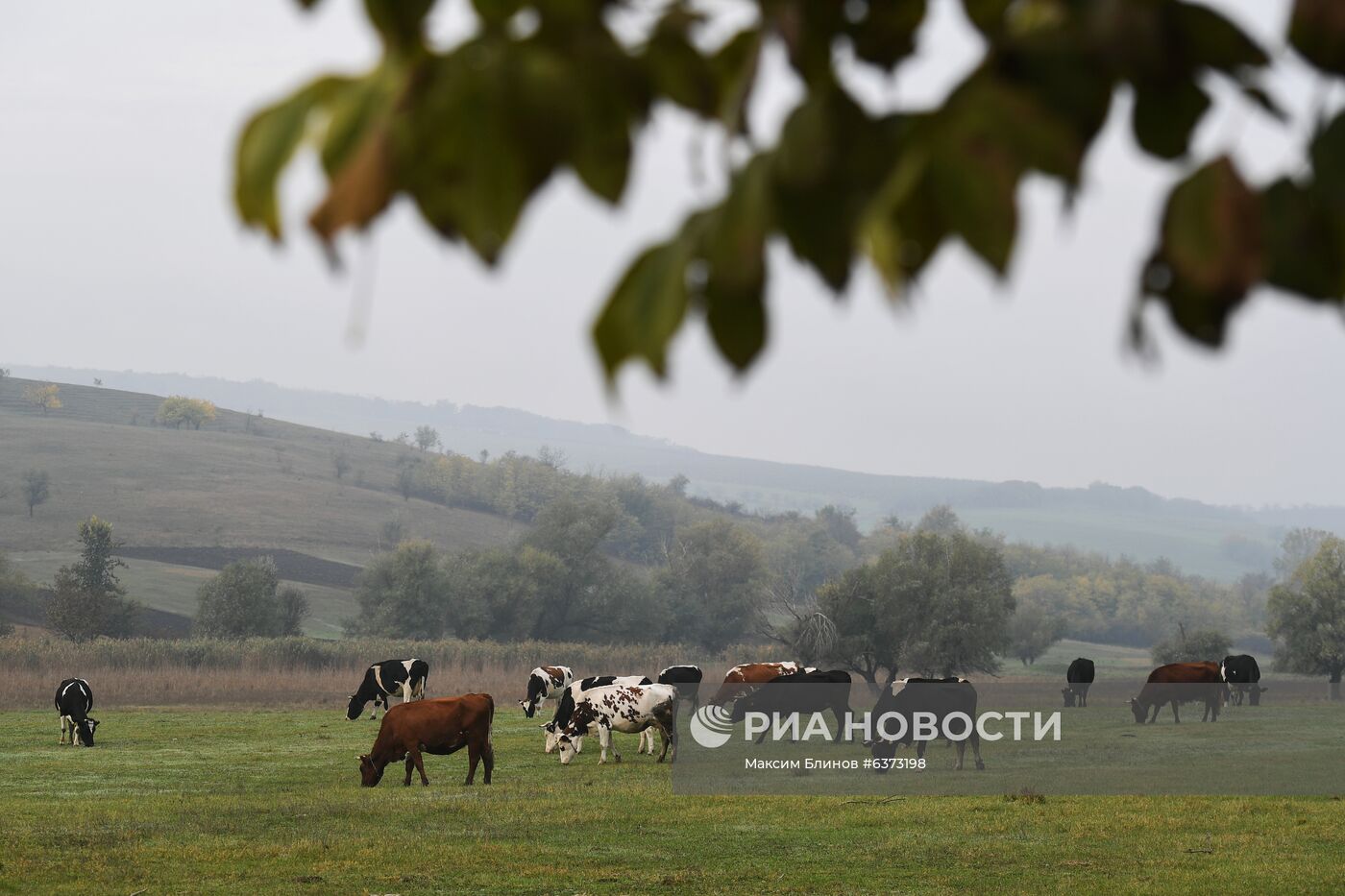 Повседневная жизнь в Молдавии