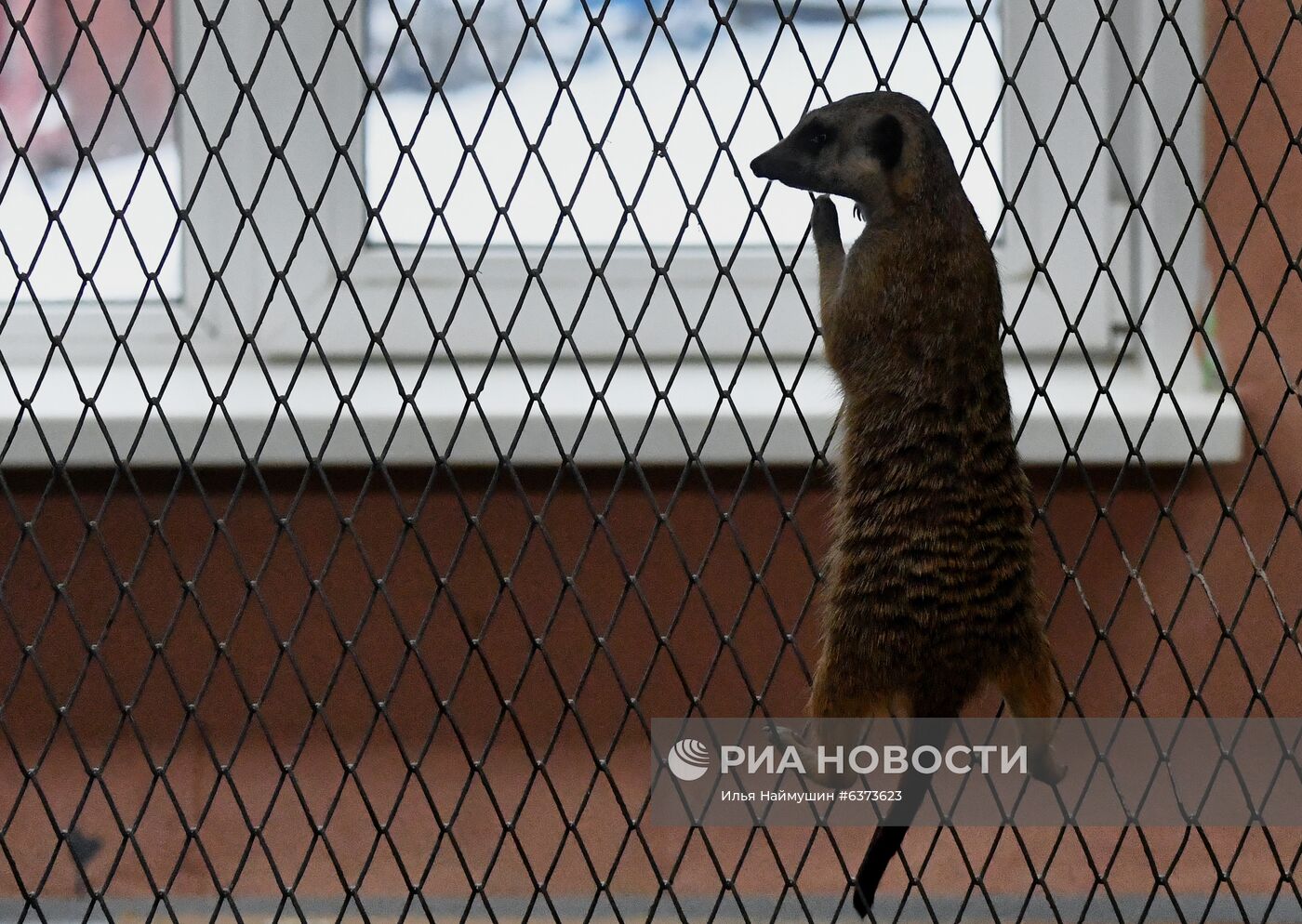 Празднование Хэллоуина в парке "Роев ручей"