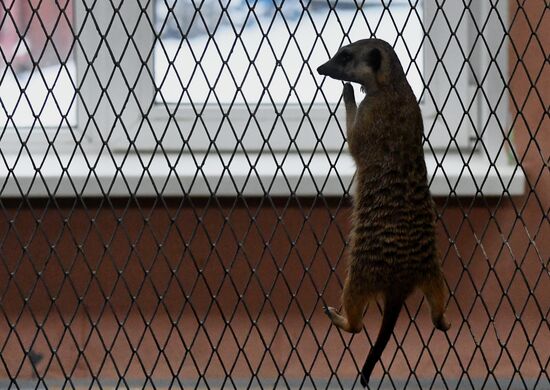 Празднование Хэллоуина в парке "Роев ручей"