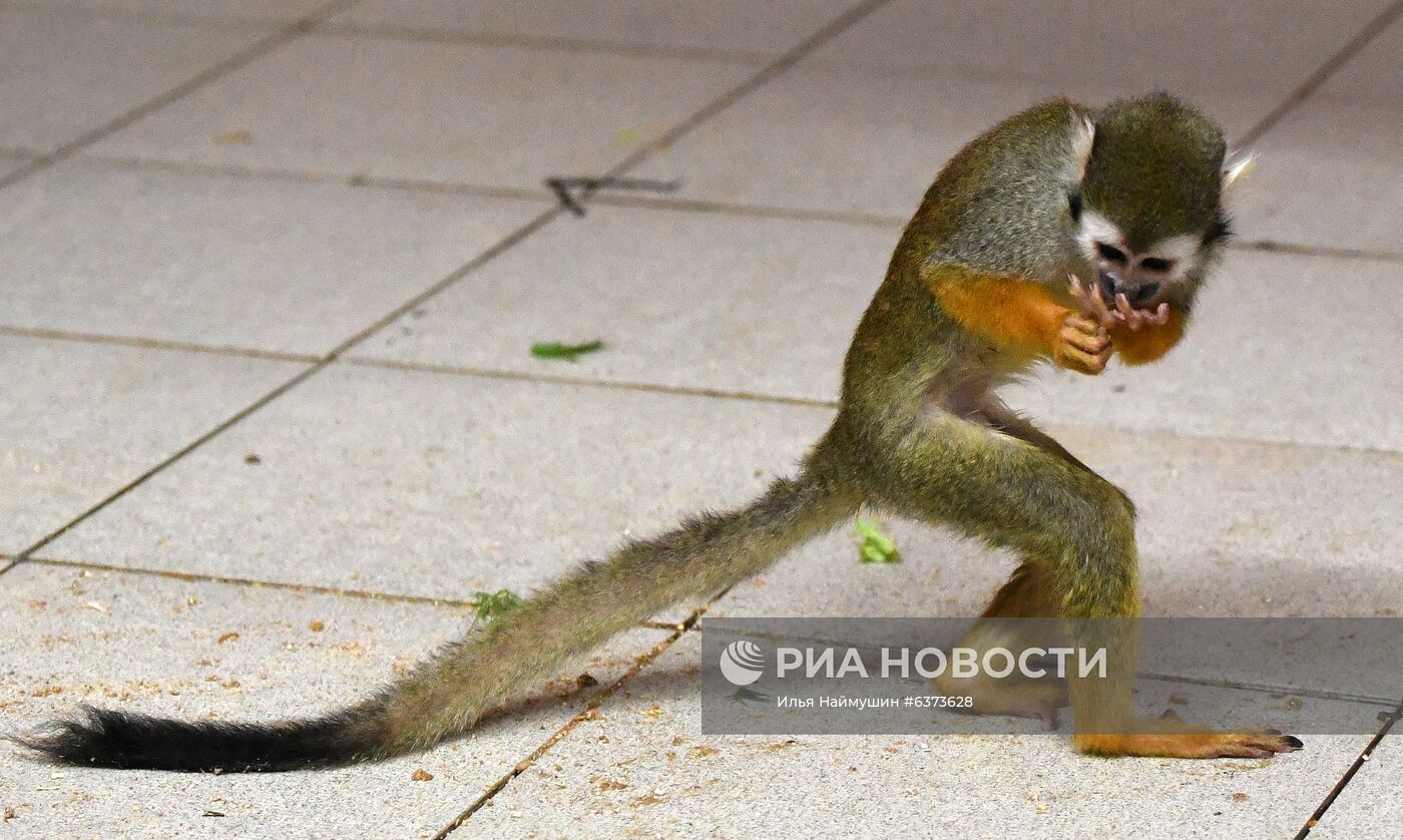 Празднование Хэллоуина в парке "Роев ручей"